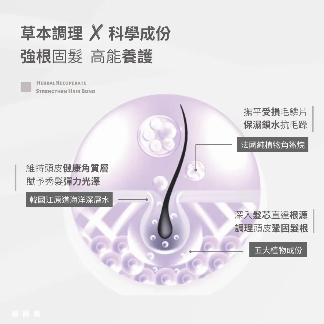 豐盈修護洗髮精10