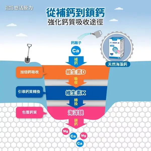 原力海藻鈣鎂錠4