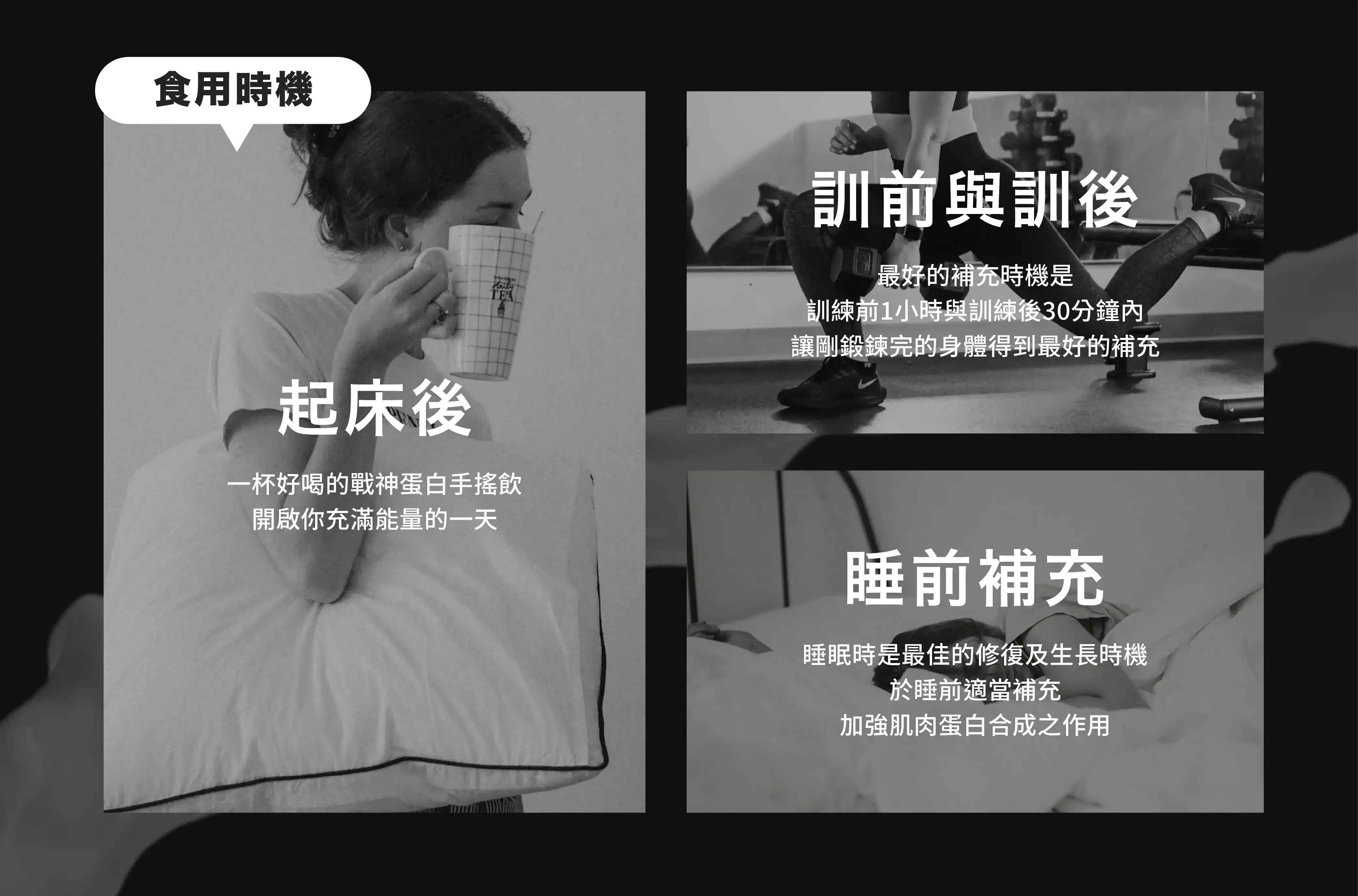 水解乳清蛋白8
