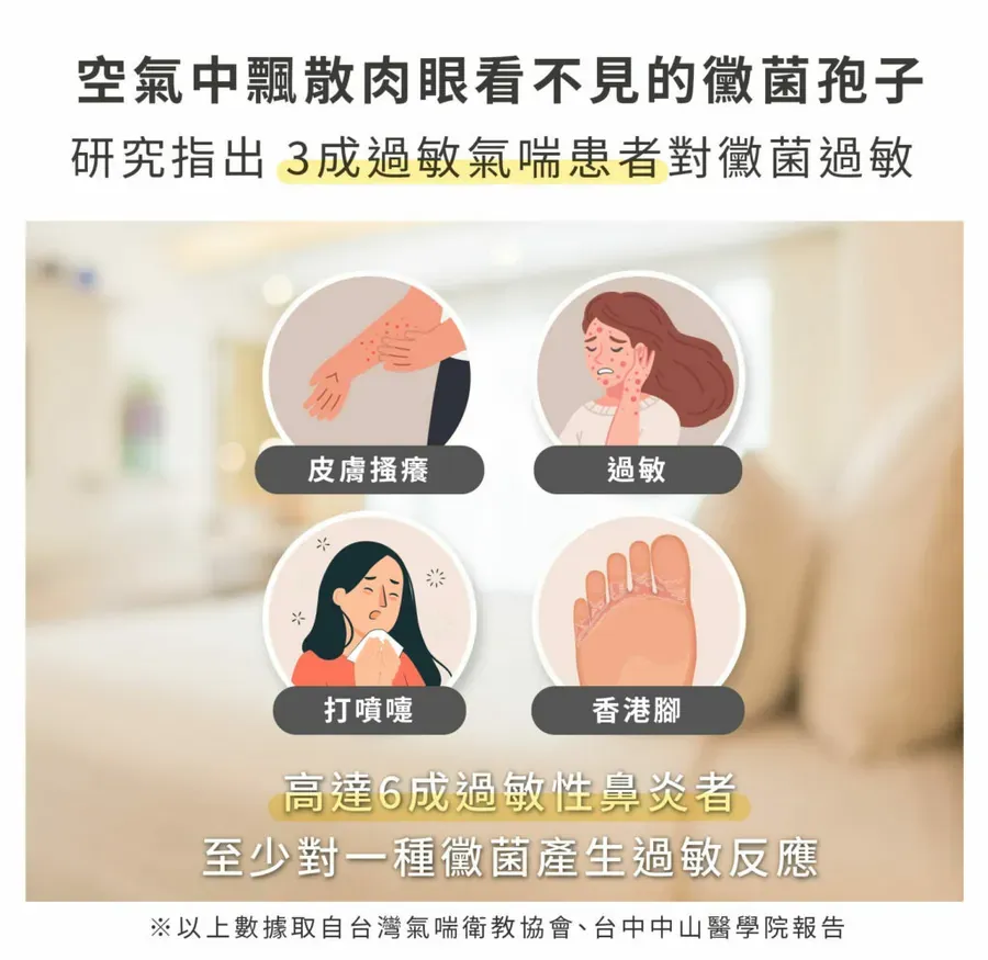 深層除黴凝膠5