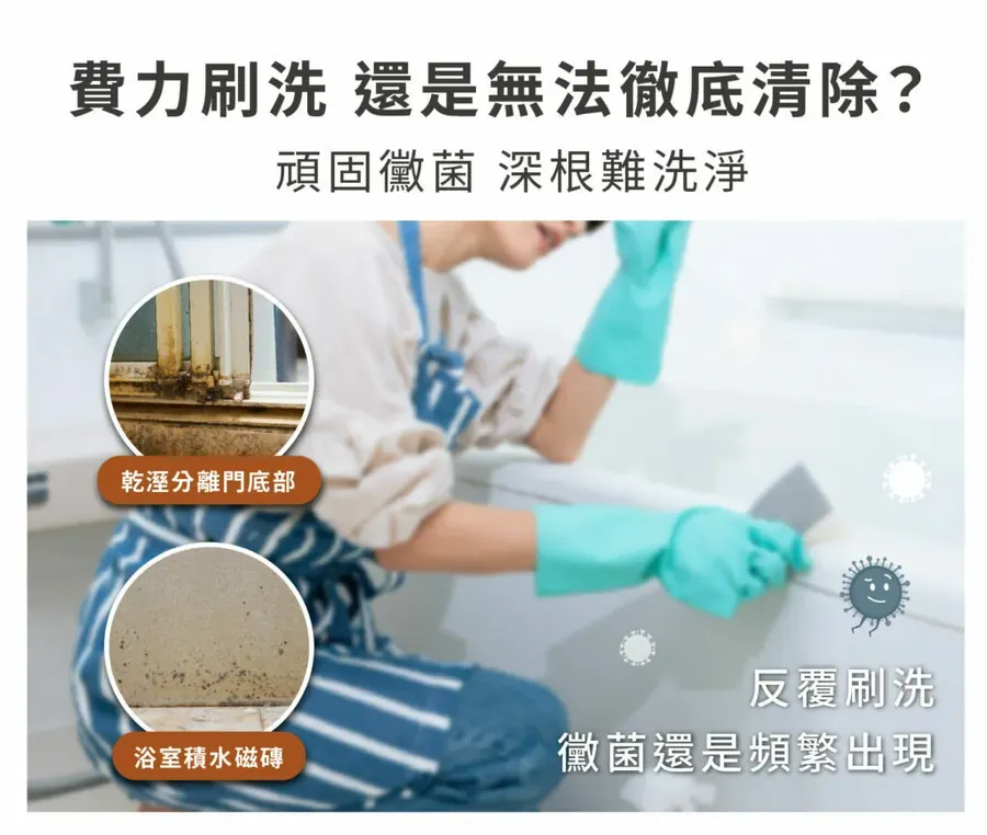深層除黴凝膠3