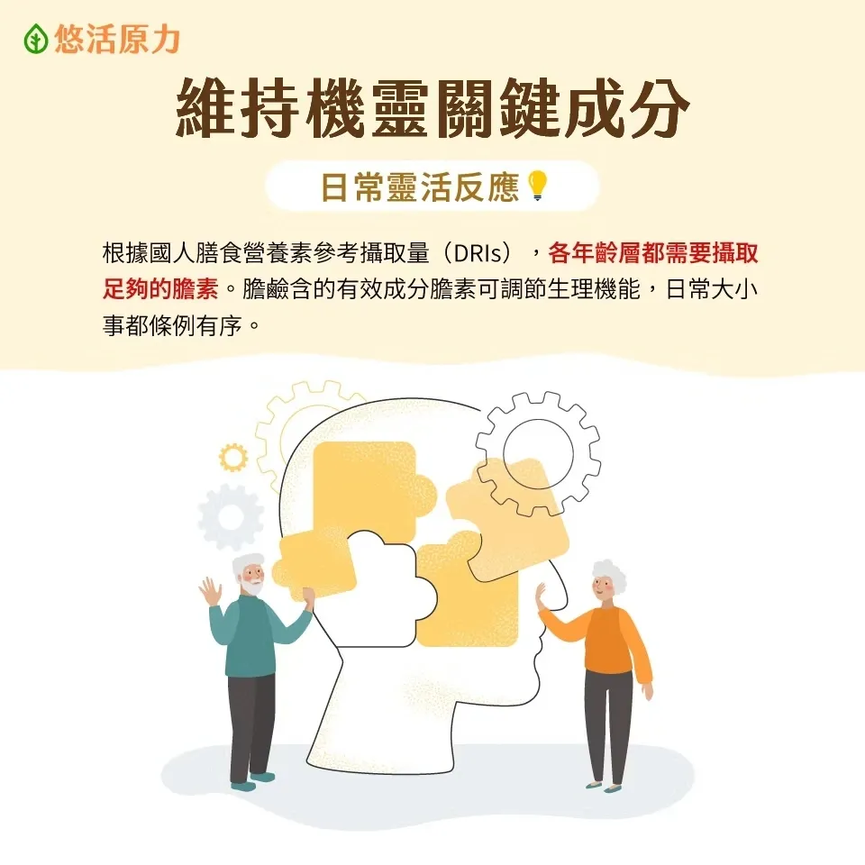 優4蛋白 膽鹼3
